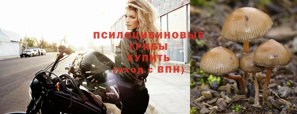 прущие крисы Абаза