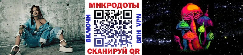 Псилоцибиновые грибы Cubensis  закладки  Западная Двина 