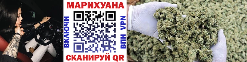 Конопля гибрид Западная Двина
